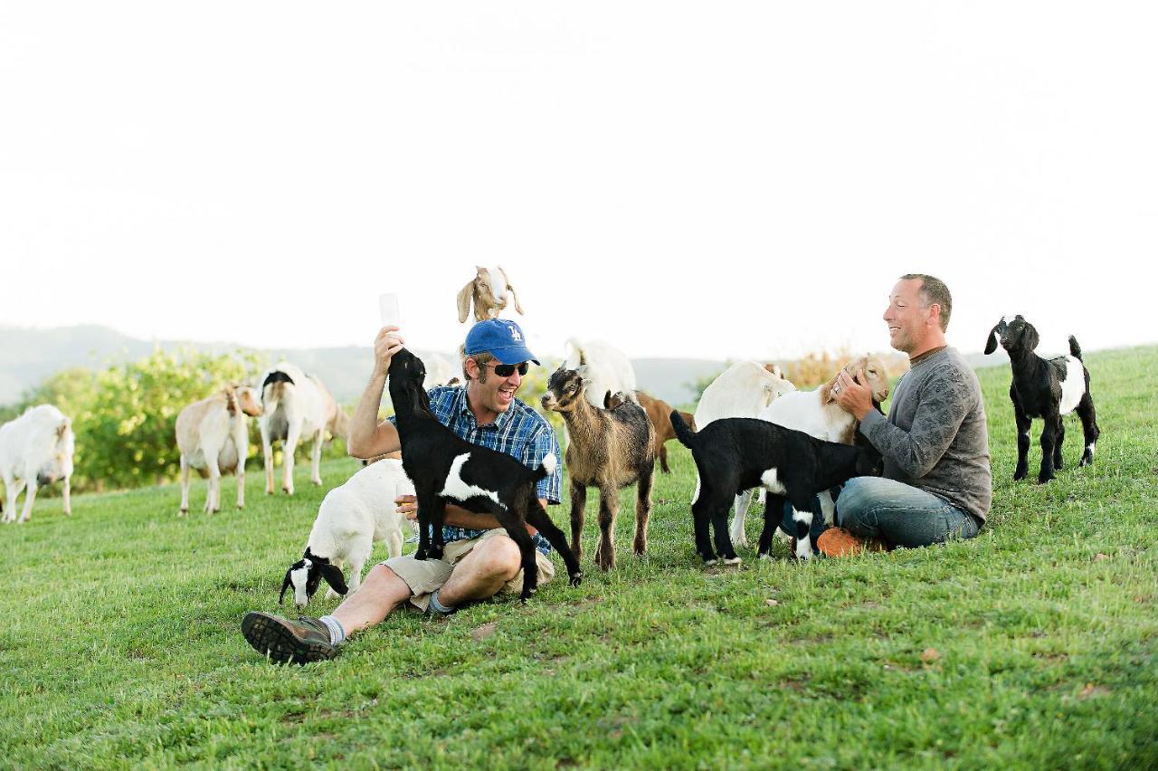 Reves De Moutons Hotel Paso Robles Kültér fotó