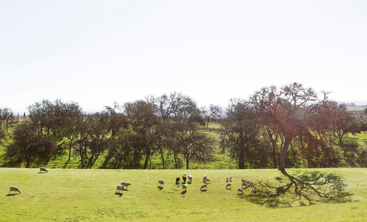 Reves De Moutons Hotel Paso Robles Kültér fotó